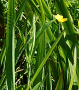 IMG_0953