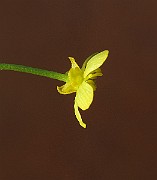 IMG_0020
