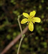 IMG_0601