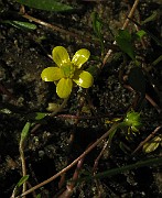 IMG_1973