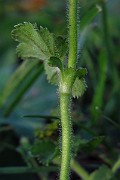 IMG_2660
