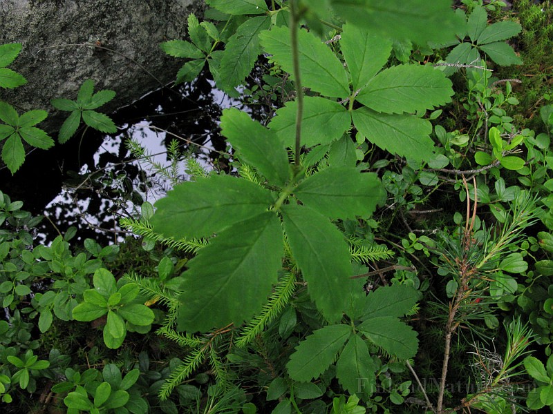 IMG_7131.jpg