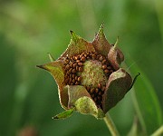 IMG_3570