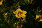 IMG_1698