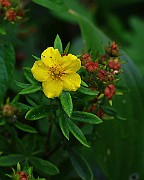 IMG_6811
