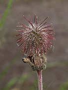 IMG_3025