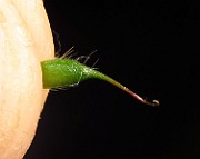 IMG_3619