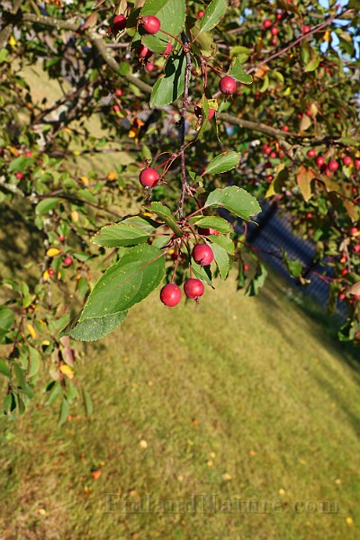 IMG_7053.JPG