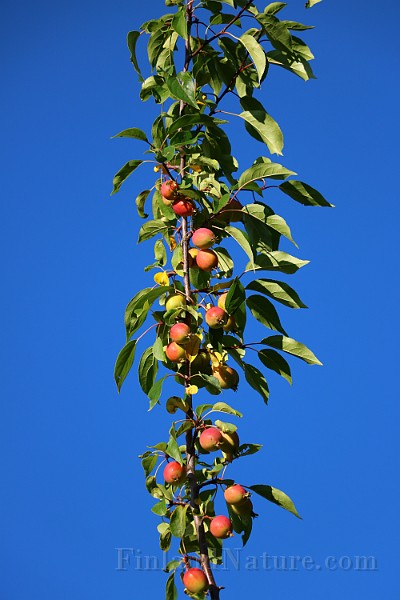 IMG_7070.JPG