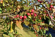 IMG_7054