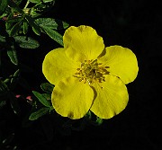 IMG_7569