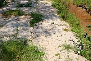 IMG_6299