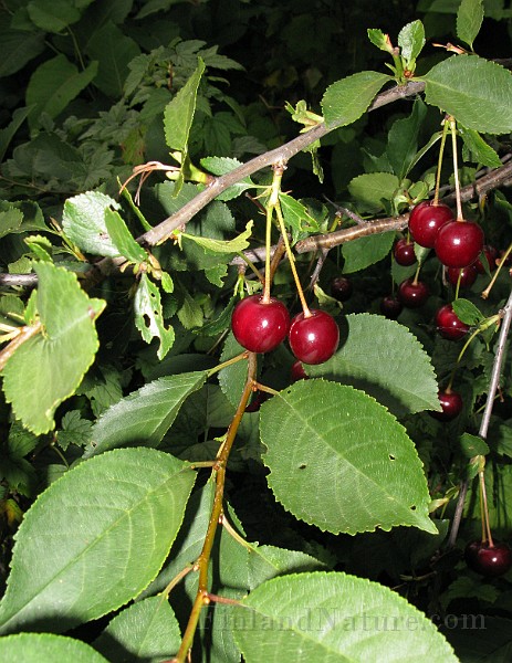 IMG_4978.jpg