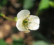 IMG_0122