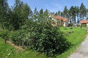 IMG_0126