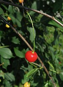 IMG_0127