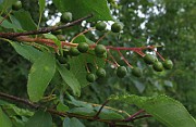 IMG_3922