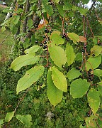 IMG_7114
