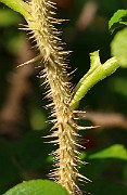 IMG_7047
