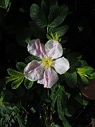 IMG_7813