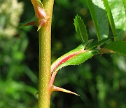 IMG_3256