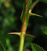 IMG_3257