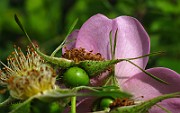 IMG_3264