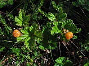 IMG_8203