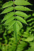 IMG_1859