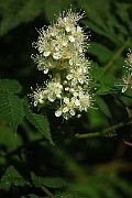 IMG_1860