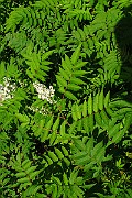 IMG_3541