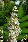 IMG_3542
