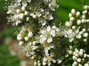 IMG_3548