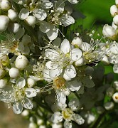 IMG_3549