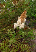 IMG_3695