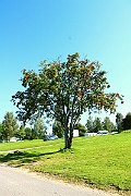 IMG_1591