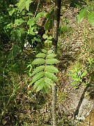 IMG_1639
