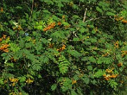 IMG_2713