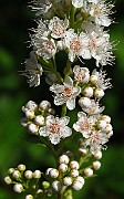 IMG_3328