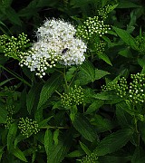 IMG_3315