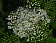 IMG_3316