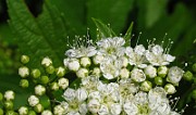 IMG_3321
