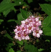 IMG_3162