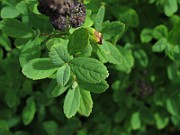 IMG_7847