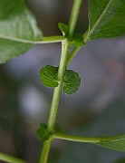 IMG_7112
