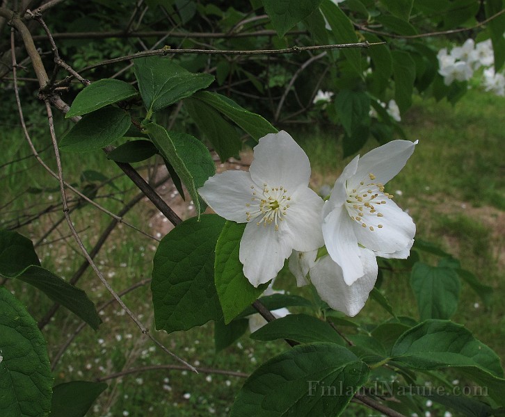 IMG_8398.JPG