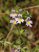 IMG_1174