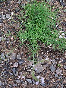 IMG_0185