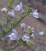 IMG_0189