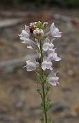 IMG_9292